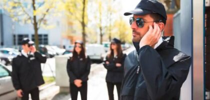 professional security services