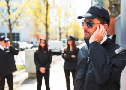 professional security services