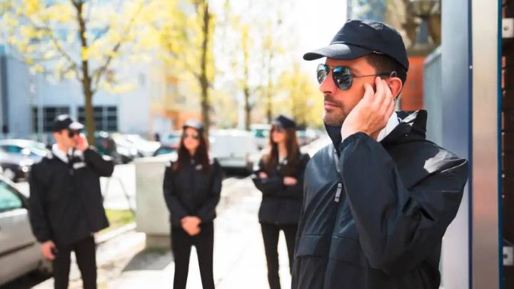 professional security services